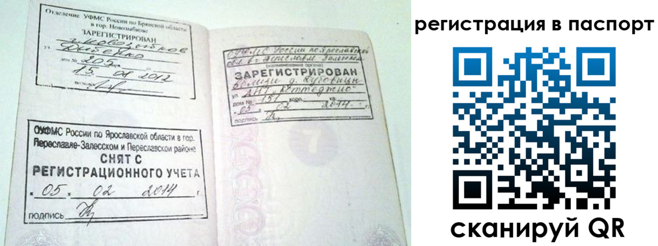 прописка в квартире в Рязанской области